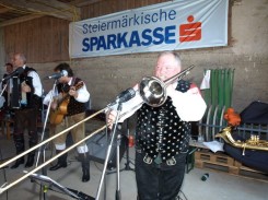 Hengsberg Bradtlfest 2008 117