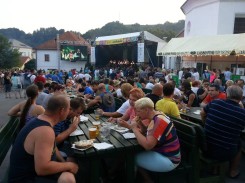 Pivo in cvetje - Lasko 2