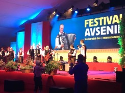 FESTIVAL AVSENIK 21105632 10207737324589757 7514749709213028706 n