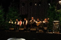 Passau 2014 6
