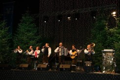 Passau 2014 7