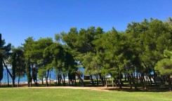 18. MUSIFEST UMAG 22049853 1877630638930685 8274172699949295583 n